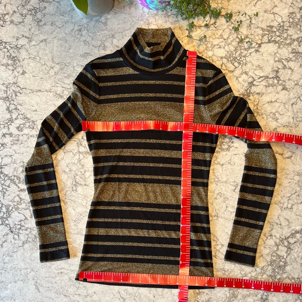 BCBGMaxAzria Sheer Gold & Black Striped Long Sleeve Top - First Posh Show 10/28 - Picture 4 of 7